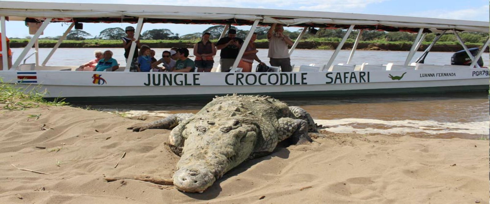 Tárcoles Crocodile Safari River Boat Tour