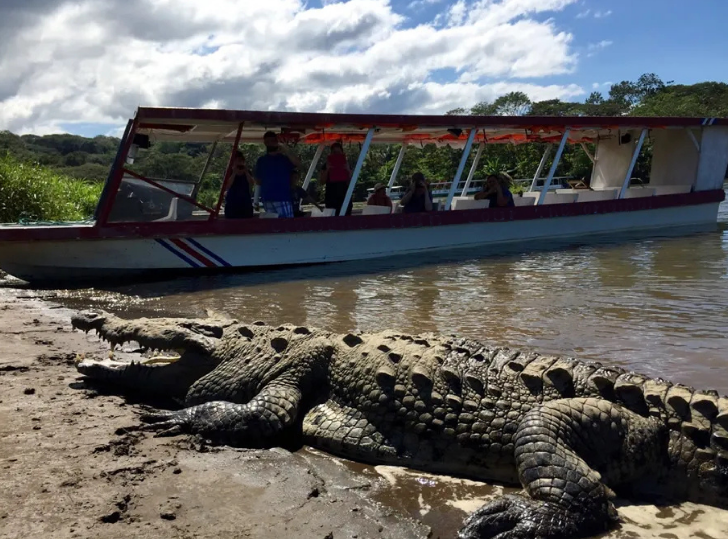 Tárcoles Crocodile Safari River Boat Tour - Image 5