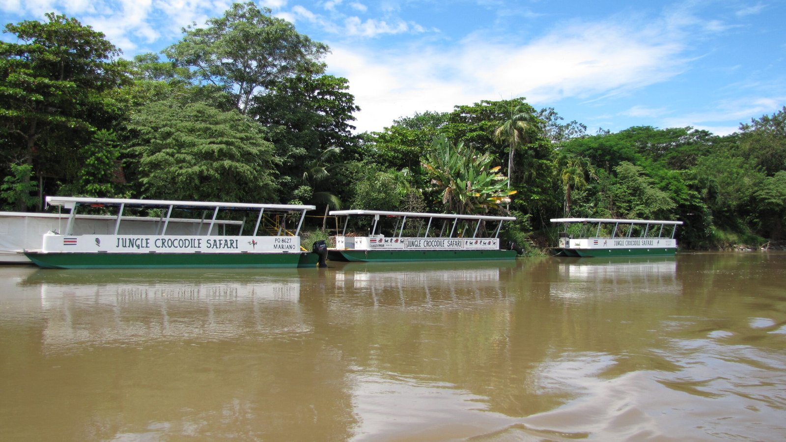 Tárcoles Crocodile Safari River Boat Tour - Image 2