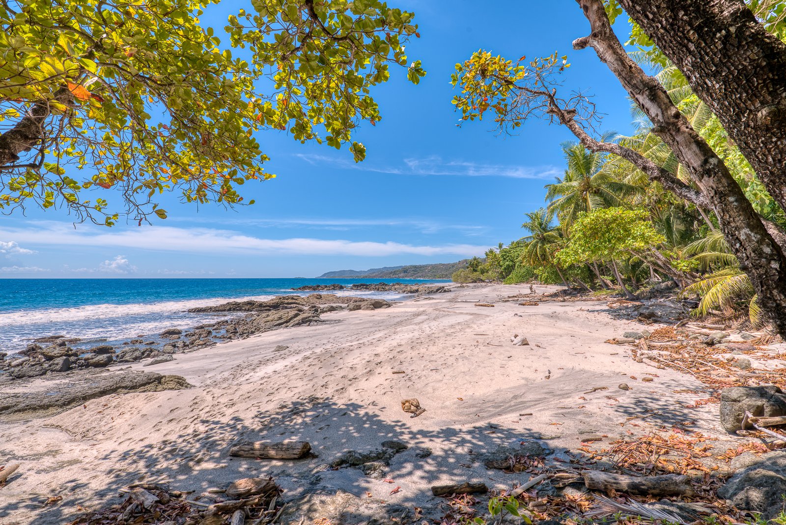 Ylang Ylang Beach Resort - Image 2