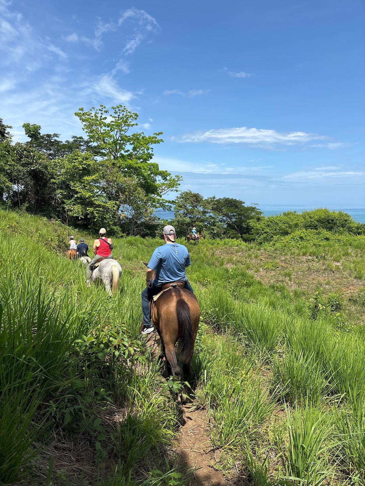 Santa Teresa Horseback Riding Experience - Image 9
