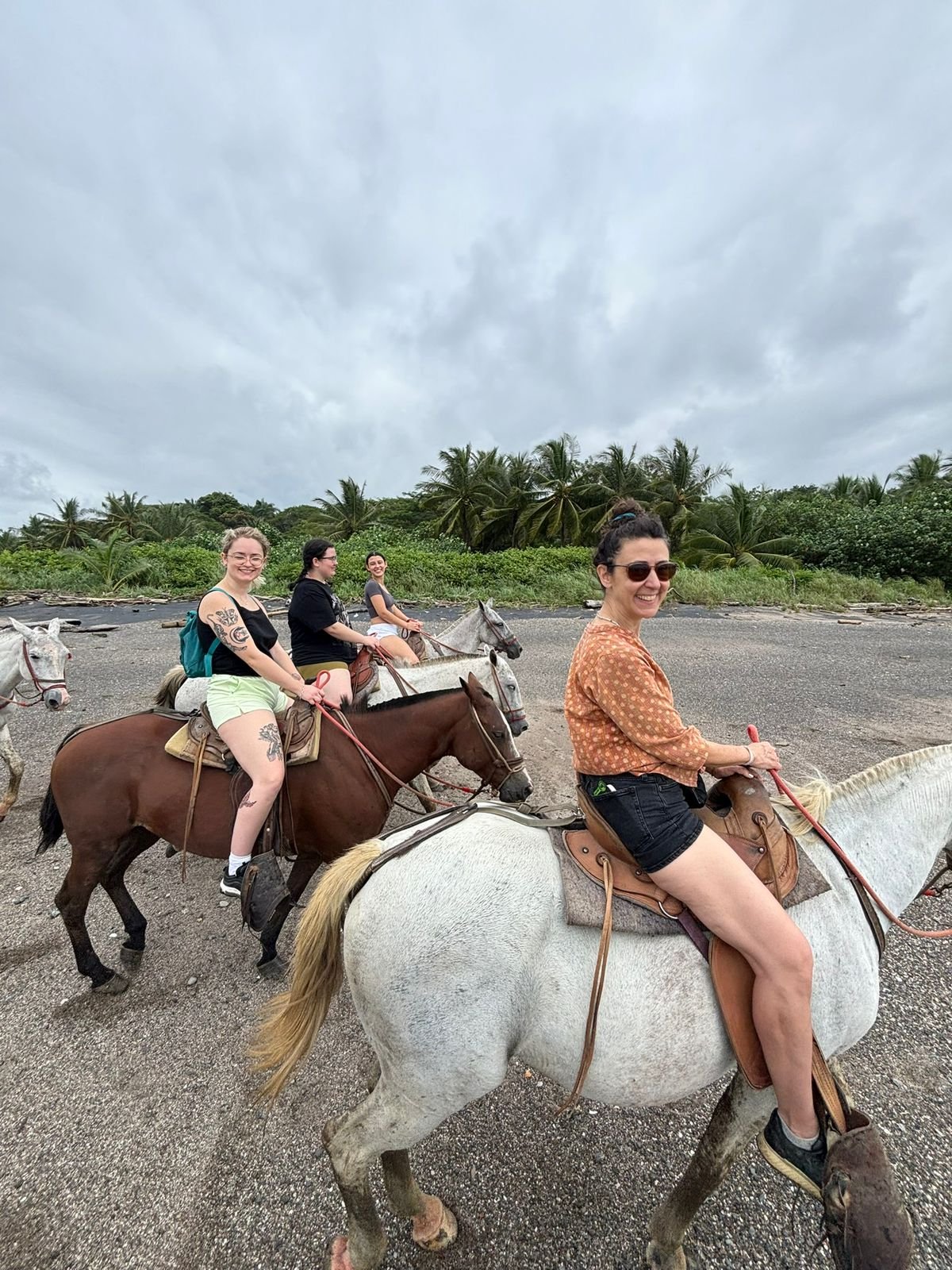 Santa Teresa Horseback Riding Experience - Image 7