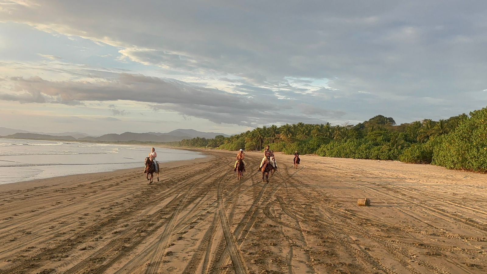 Santa Teresa Horseback Riding Experience