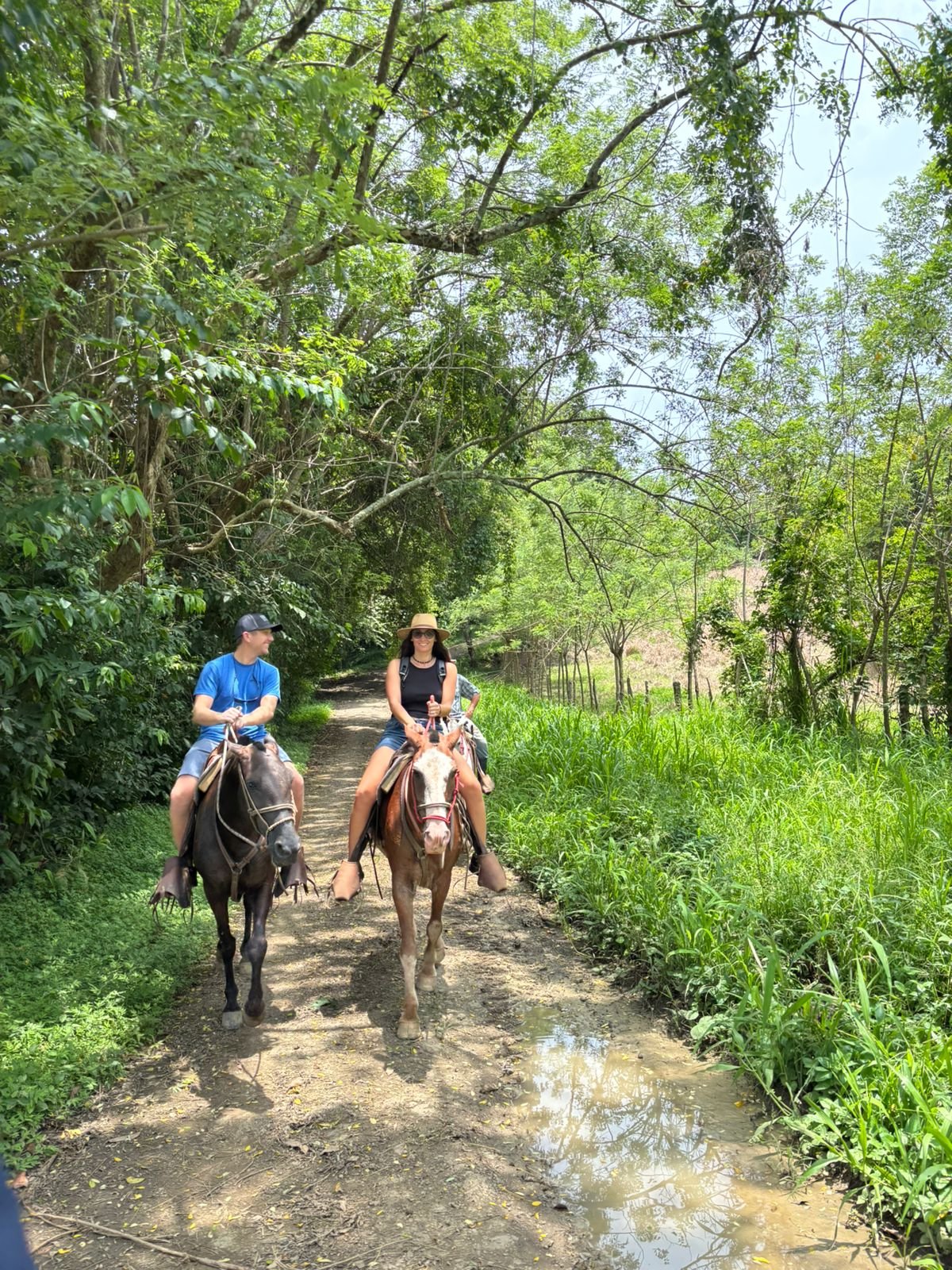 Santa Teresa Horseback Riding Experience - Image 4