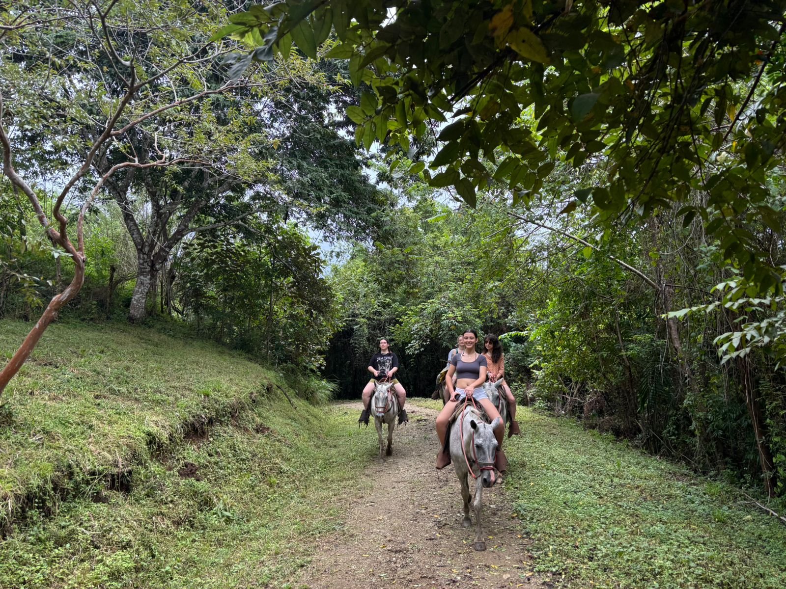 Santa Teresa Horseback Riding Experience - Image 3